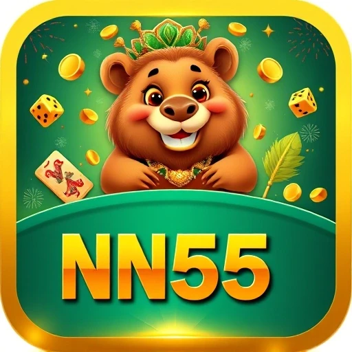 nn55.com